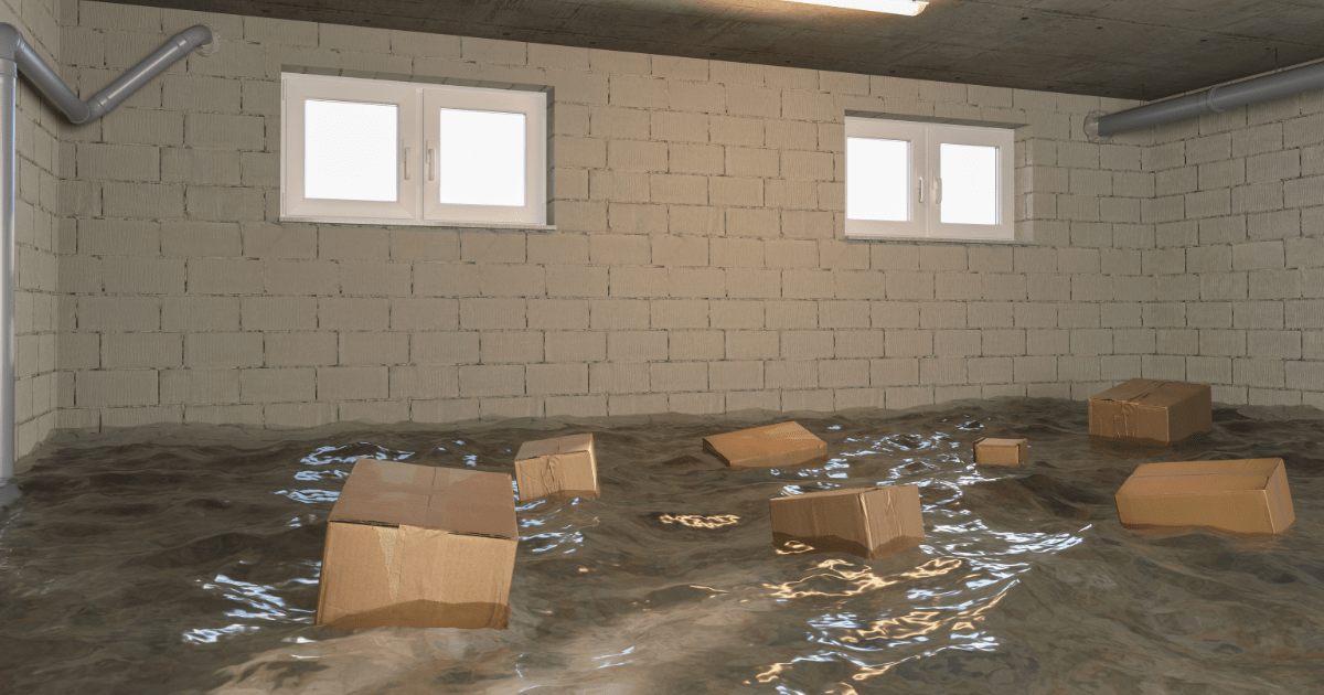 leaking basement that needs waterproofing